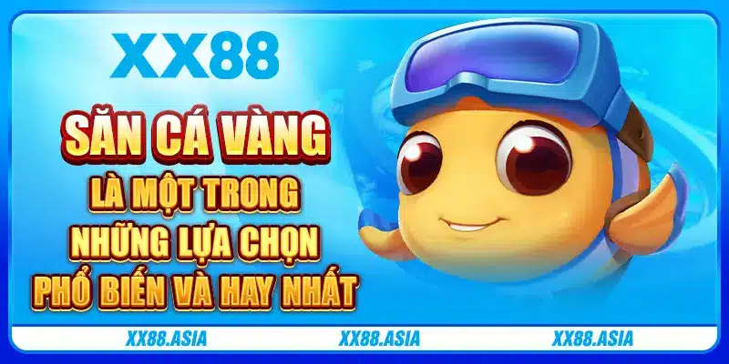 Săn cá vàng là một trong những lựa chọn phổ biến và hay nhất
